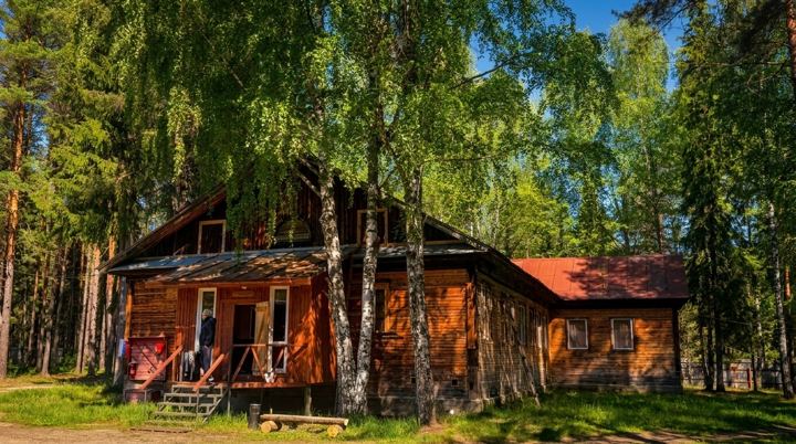 Дом среди берёз